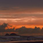 Compañeros online para personas mayores una solución contra la soledad image_1208.jpg